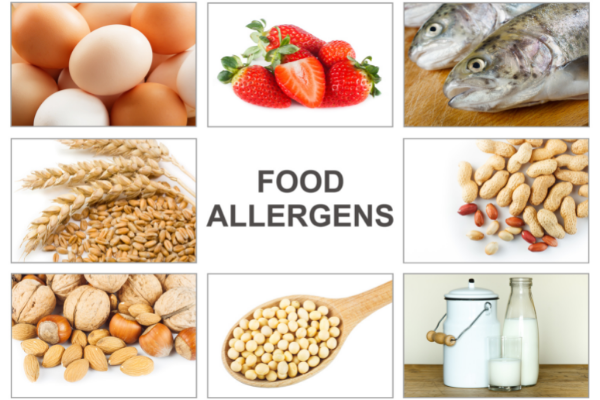 ชุดทดสอบสารก่อภูมิแพ้ในอาหาร (Food Allergen)