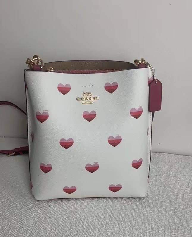 Coach Outlet Mollie Bucket Bag 22 With Stripe Heart Print