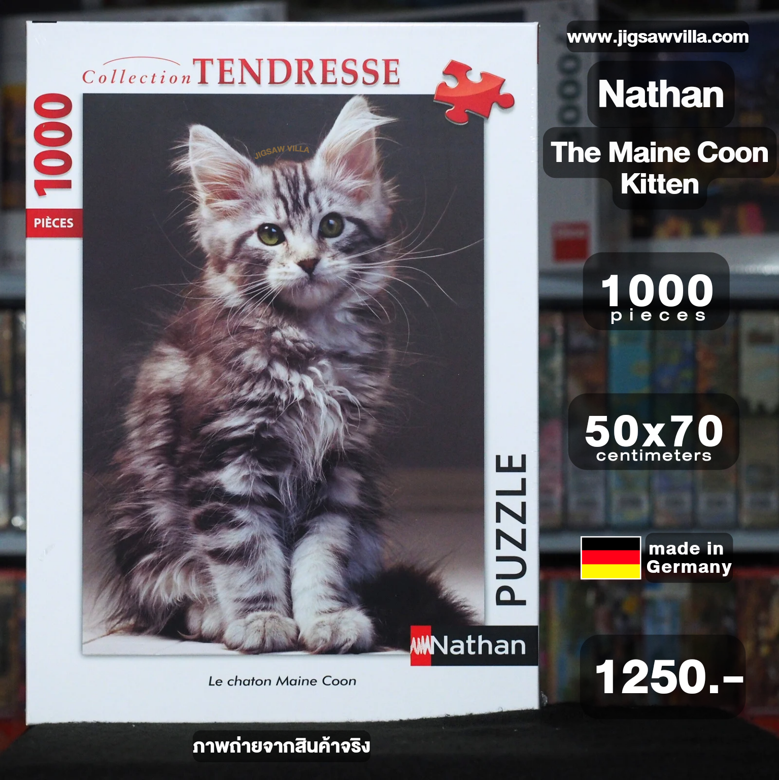 Puzzle Le chat Maine Coon - 1000 pièces