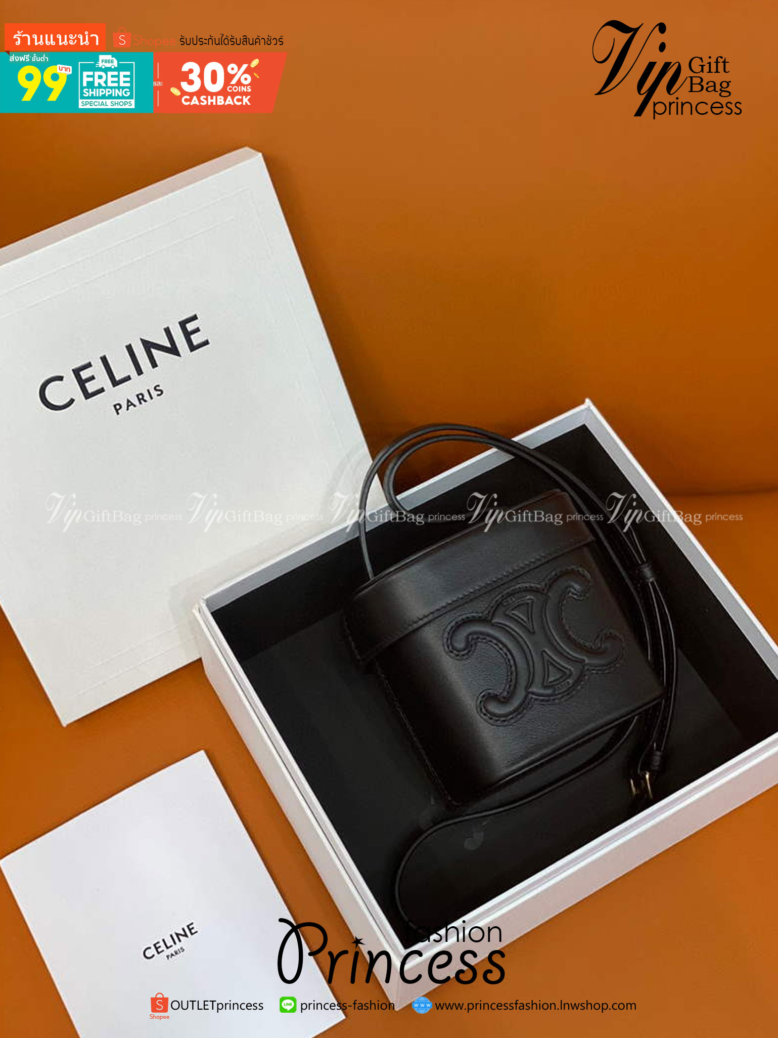 Celine Box Cuir Bag