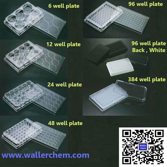 culture-cell-plate-96-well